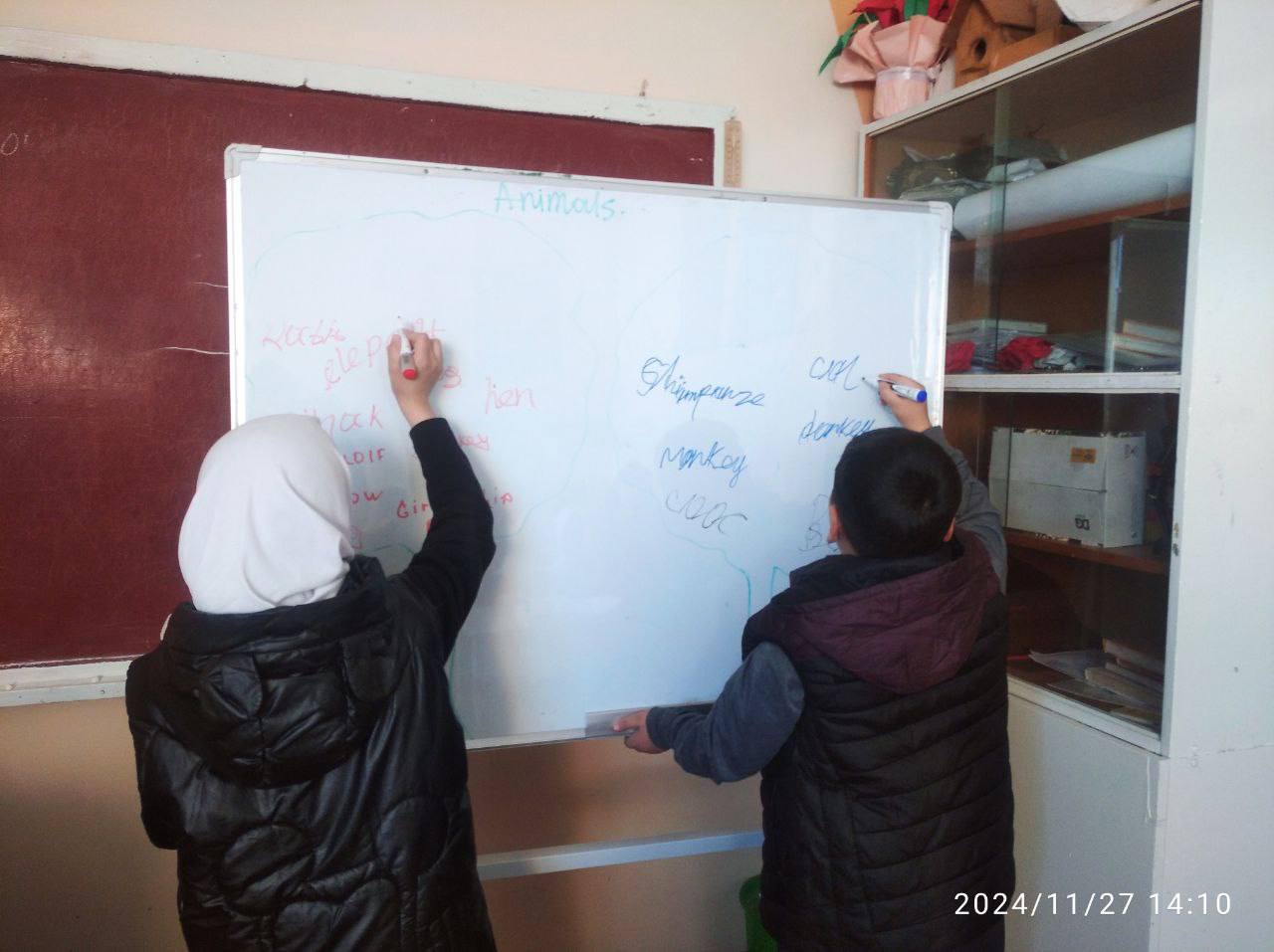 photo_2025-05-22_16-28-31